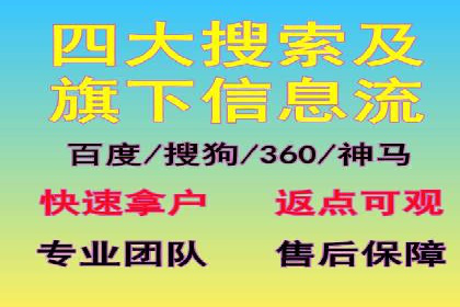 某企业通过SEM实现品牌与销售双增长的案例